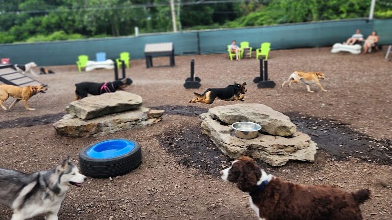 Taps & Tails - Cleveland, OH