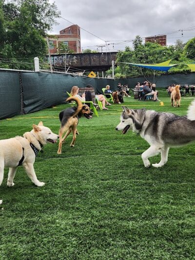 Taps & Tails - Cleveland, OH