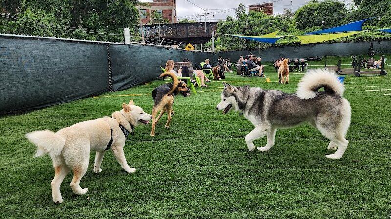 Taps & Tails - Cleveland, OH