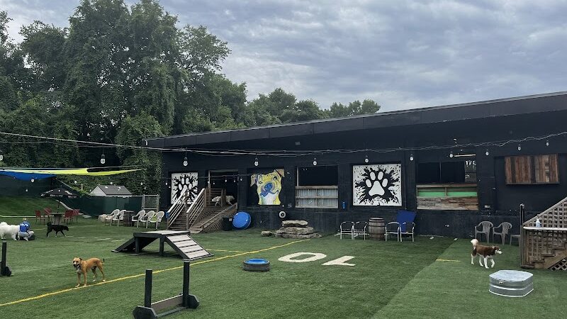 Taps & Tails - Cleveland, OH