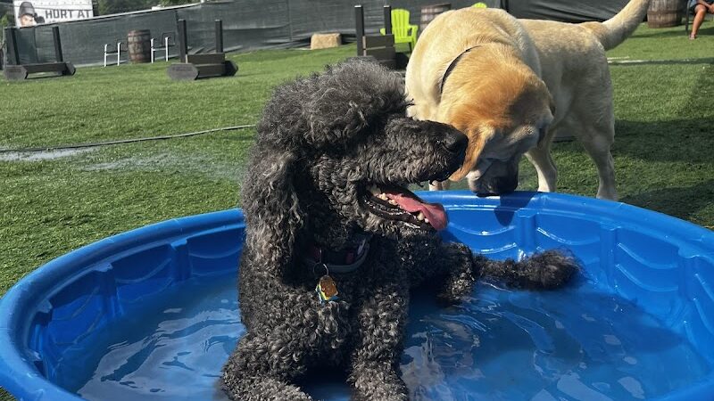 Taps & Tails - Cleveland, OH