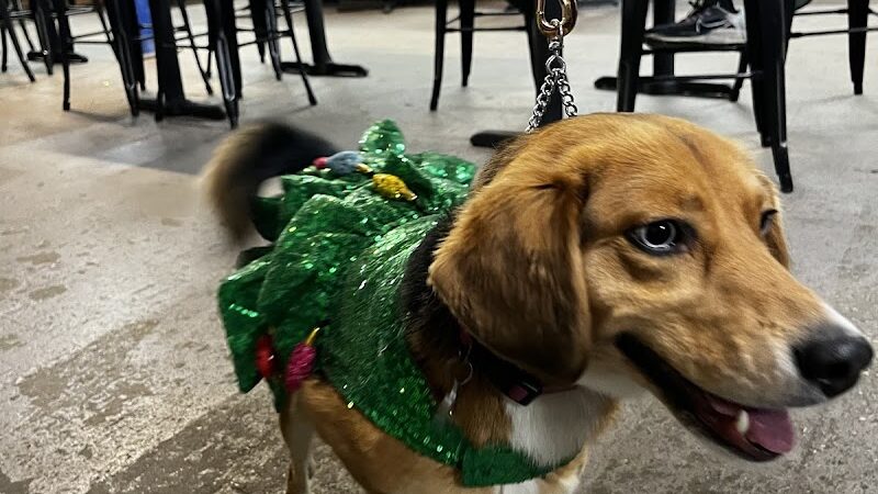 Taps & Tails - Cleveland, OH