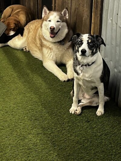 Taps & Tails - Cleveland, OH