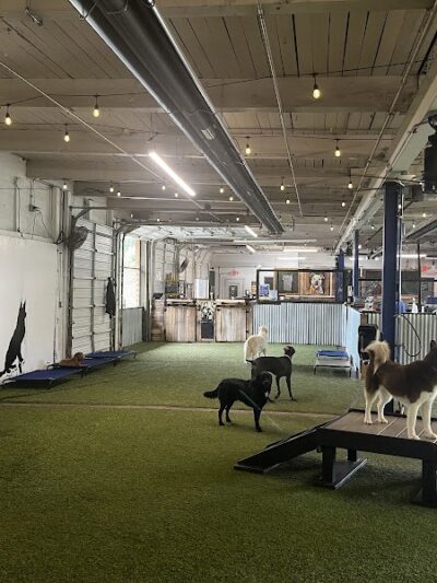 Taps & Tails - Cleveland, OH