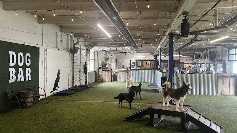 Taps & Tails - Cleveland, OH