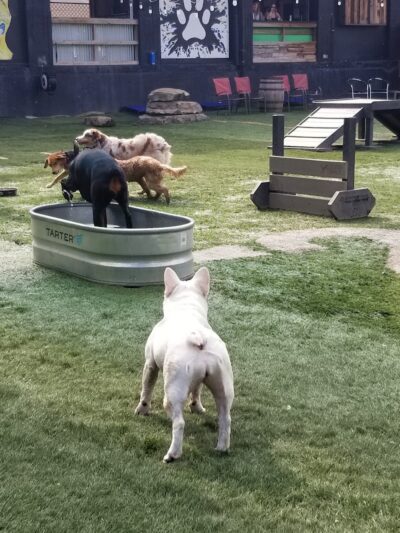 Taps & Tails - Cleveland, OH