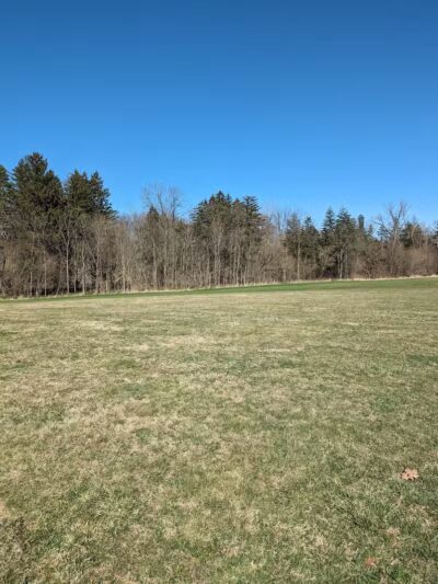 Tyler Field - Cleveland, OH