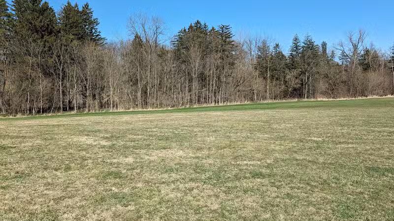 Tyler Field - Cleveland, OH