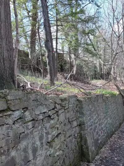 Tyler Field - Cleveland, OH