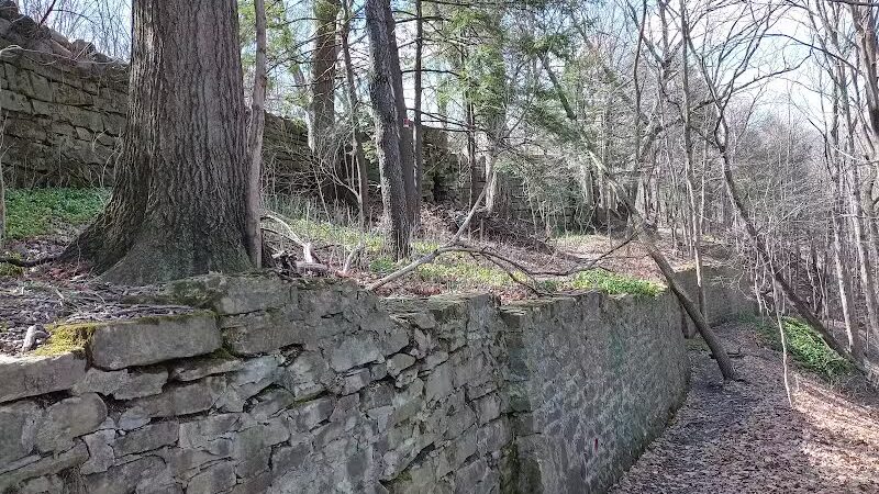 Tyler Field - Cleveland, OH