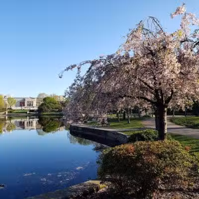 Wade Lagoon - Cleveland, OH