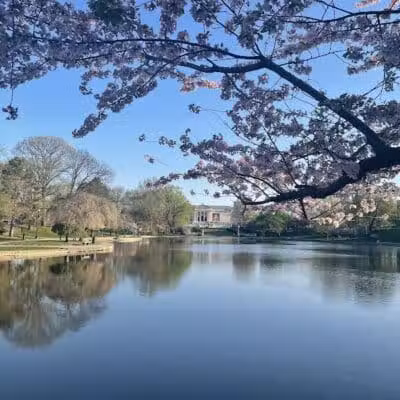 Wade Lagoon - Cleveland, OH