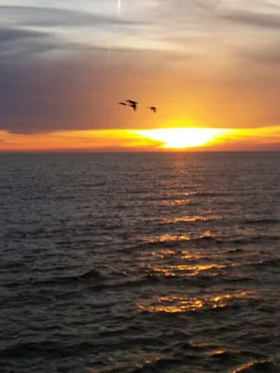 Wildwood Park - Cleveland, OH