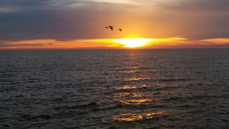 Wildwood Park - Cleveland, OH