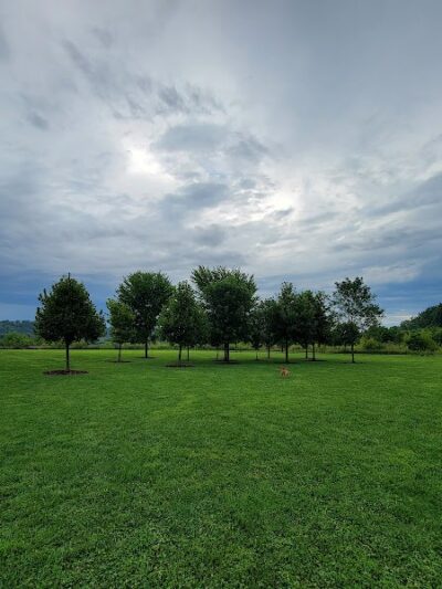 Simmonds Family Dog Park - Cleves, OH