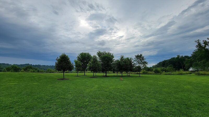 Simmonds Family Dog Park - Cleves, OH