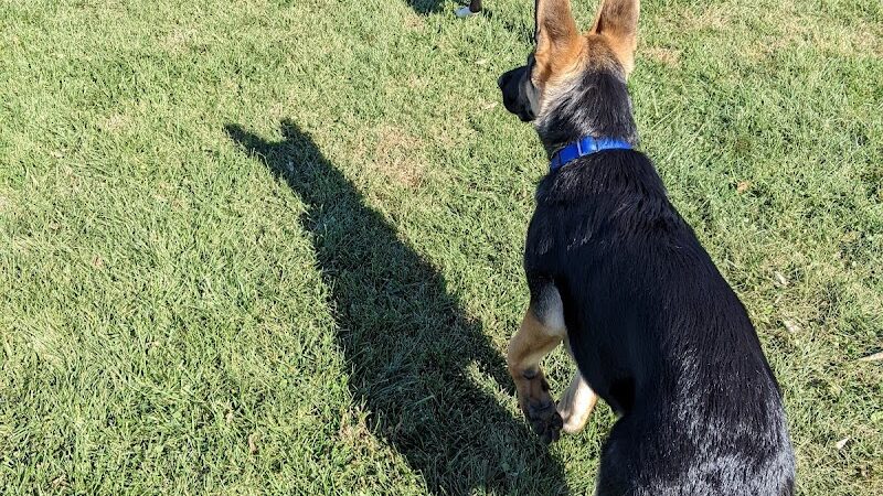 Simmonds Family Dog Park - Cleves, OH