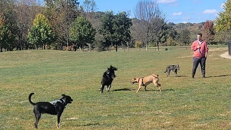 Simmonds Family Dog Park - Cleves, OH