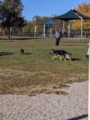 Simmonds Family Dog Park - Cleves, OH