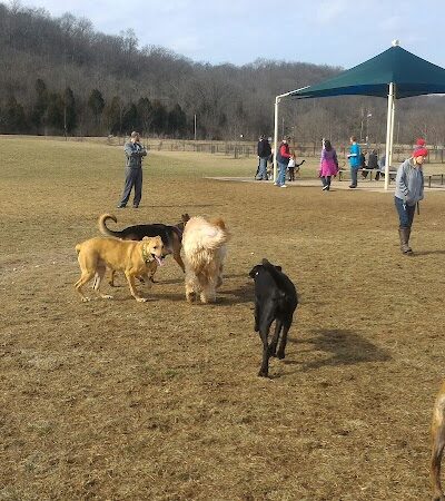 Simmonds Family Dog Park - Cleves, OH