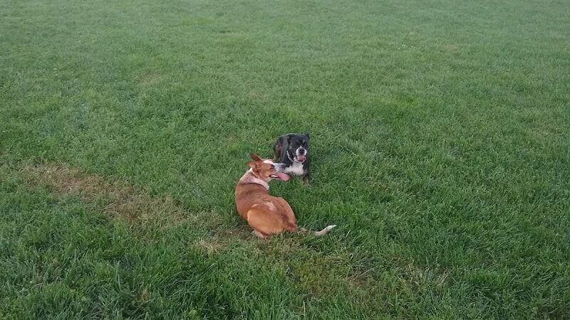 Simmonds Family Dog Park - Cleves, OH