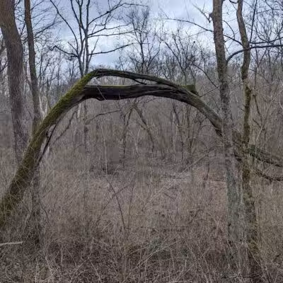 Wood Duck Trail Parking - Cleves, OH