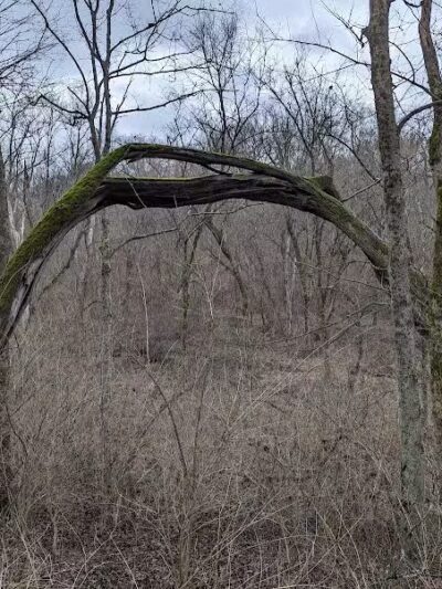 Wood Duck Trail Parking - Cleves, OH
