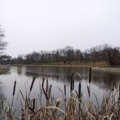 Wood Duck Trail Parking - Cleves, OH