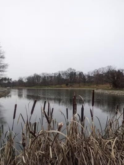 Wood Duck Trail Parking - Cleves, OH