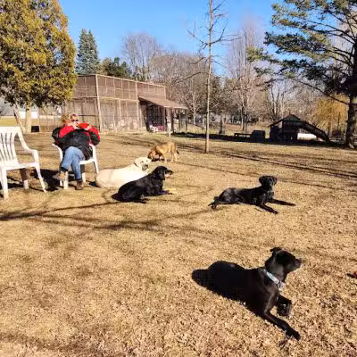 Clinton Dog Park - Clinton, IA