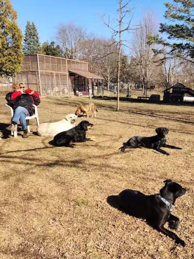 Clinton Dog Park - Clinton, IA