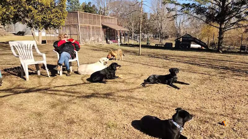 Clinton Dog Park - Clinton, IA