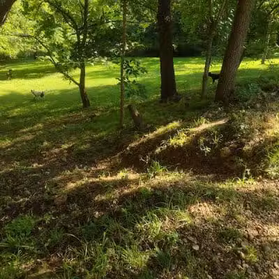 Clinton Dog Park - Clinton, IA