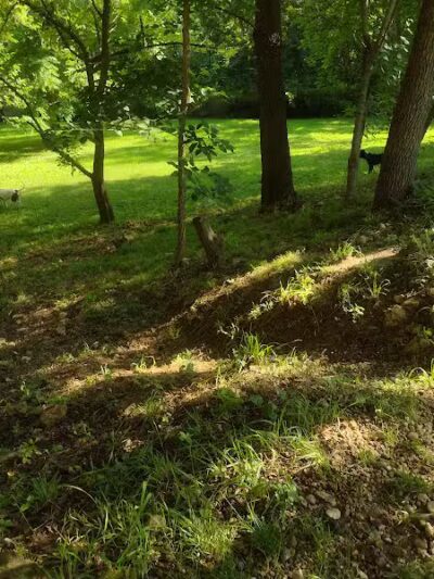 Clinton Dog Park - Clinton, IA