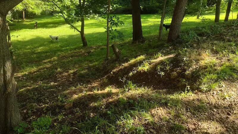 Clinton Dog Park - Clinton, IA