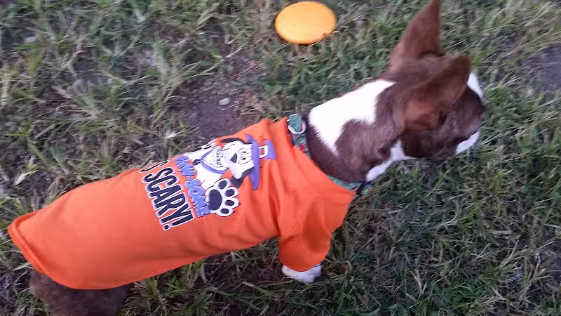 Clyde Dog Park - Clyde, OH