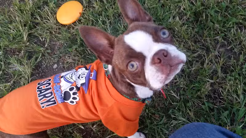 Clyde Dog Park - Clyde, OH