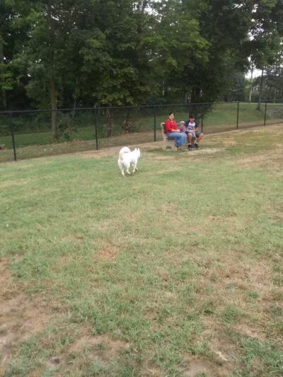 Clyde Dog Park - Clyde, OH