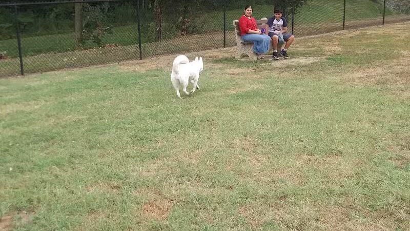 Clyde Dog Park - Clyde, OH