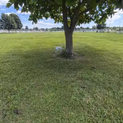 Coldwater dog park - Coldwater, MI