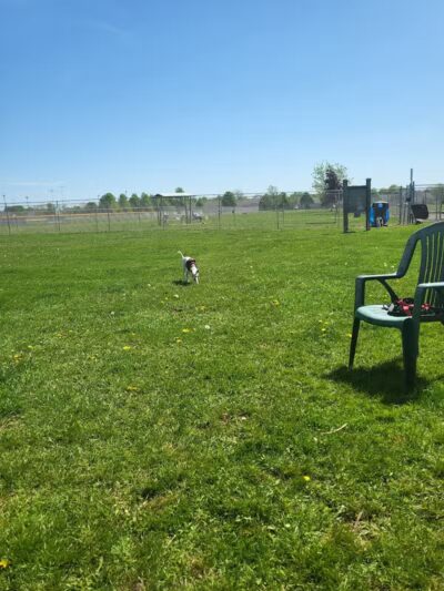 Coldwater dog park - Coldwater, MI