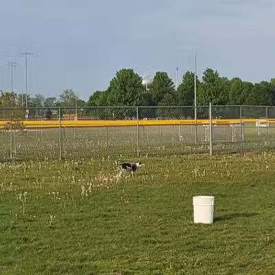 Coldwater dog park - Coldwater, MI
