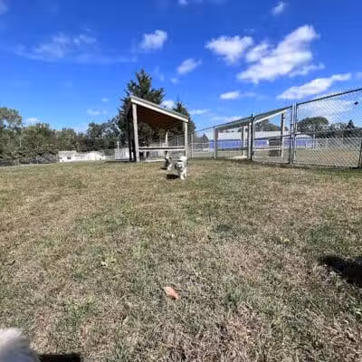 Public dog park - Coldwater, MI