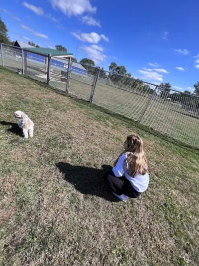 Public dog park - Coldwater, MI