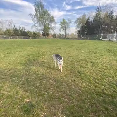 Public dog park - Coldwater, MI