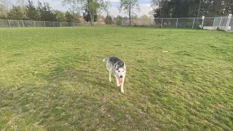 Public dog park - Coldwater, MI