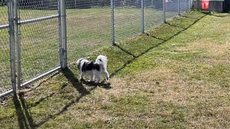 Public dog park - Coldwater, MI