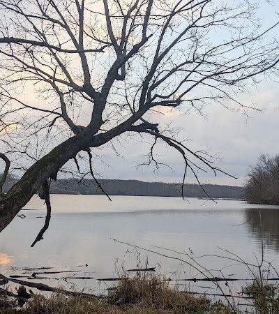 Hueston Woods Dog Beach - College Corner, OH