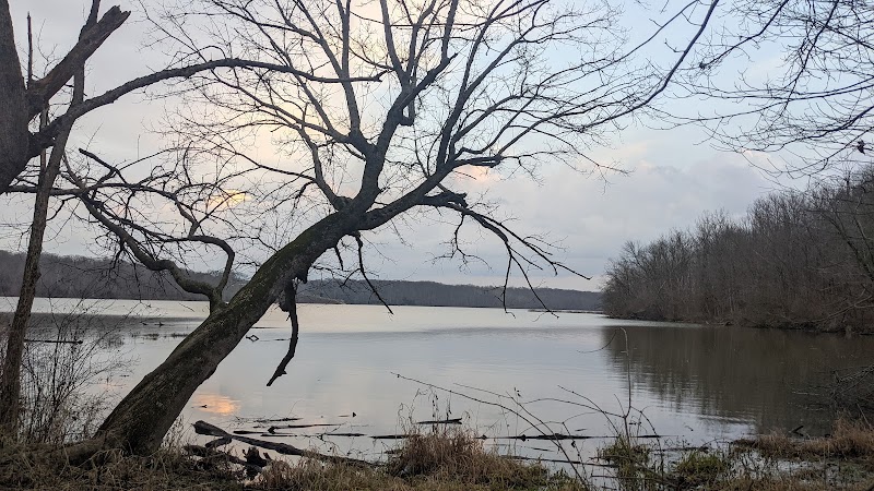 Hueston Woods Dog Beach - College Corner, OH