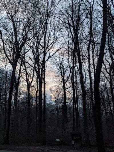 Hueston Woods Dog Beach - College Corner, OH